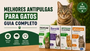 Proteja seu gato: guia definitivo contra pulgas e carrapatos