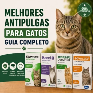 Proteja seu gato: guia definitivo contra pulgas e carrapatos
