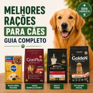 Guia definitivo para escolher a melhor ração para o seu cão