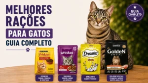 Guia definitivo para escolher a melhor ração para o seu gato